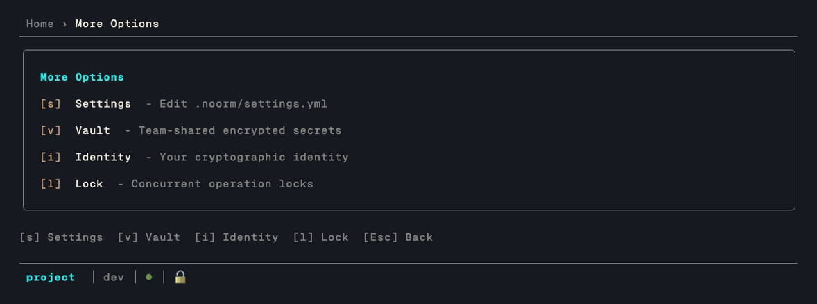 The More Options menu: settings, vault, identity, and lock